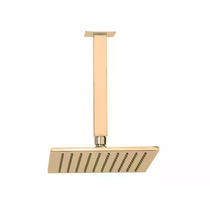 Chuveiro de Teto Rainbow - Gold